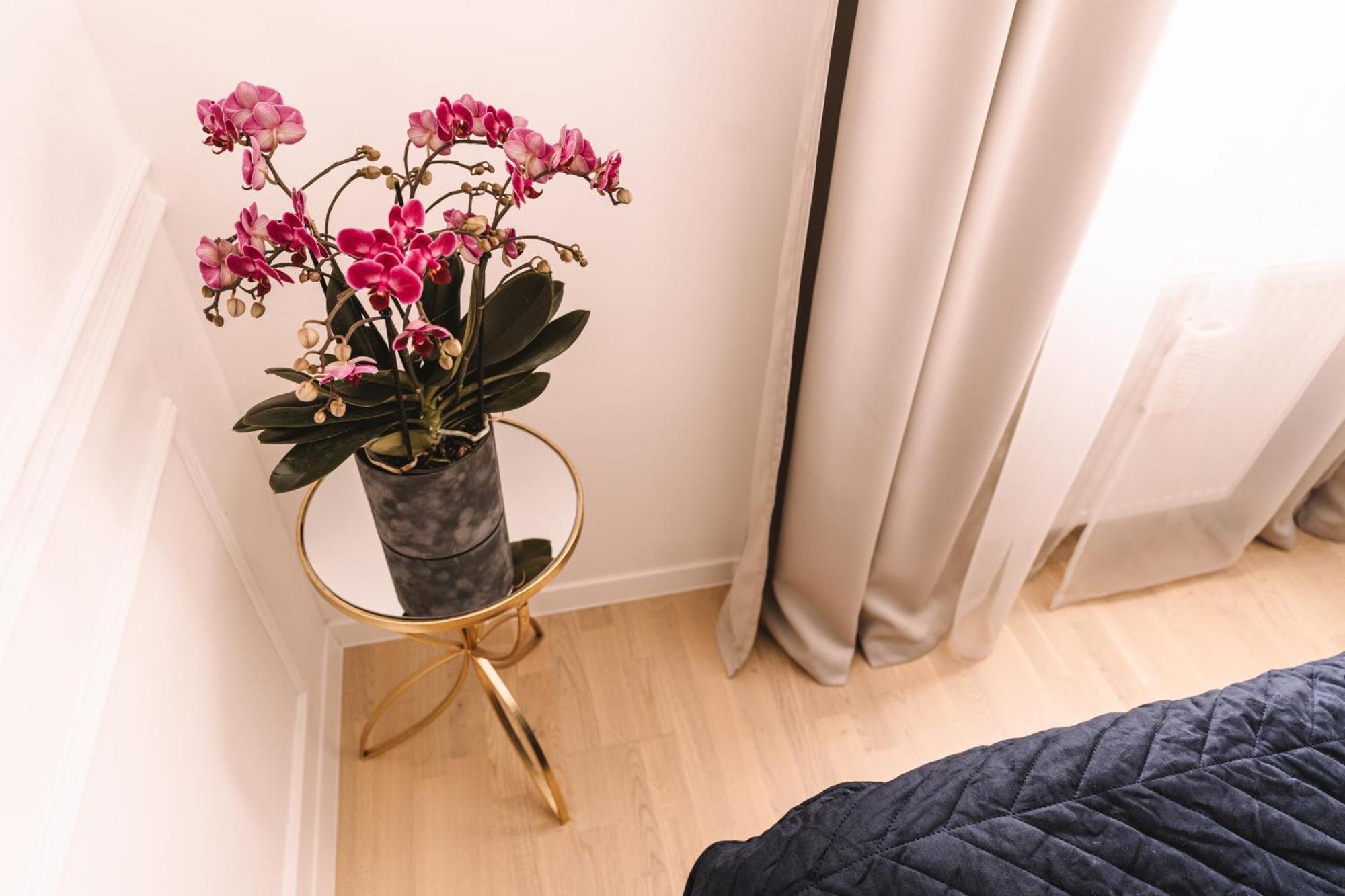 Flexible Selfcheckins 66 - Zagreb - Loggia - 80M2 - New - Luxury - Garage - 2 Bedrooms エクステリア 写真